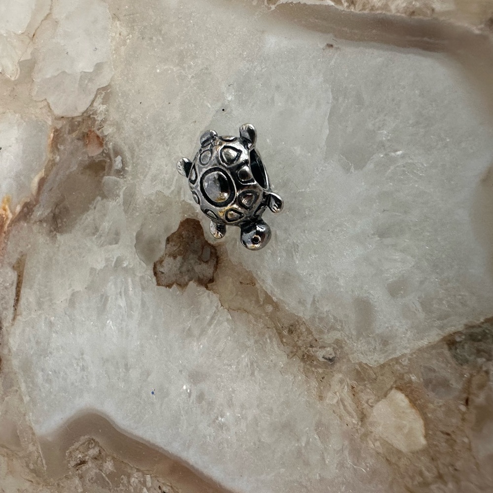 Pandora turtle charm